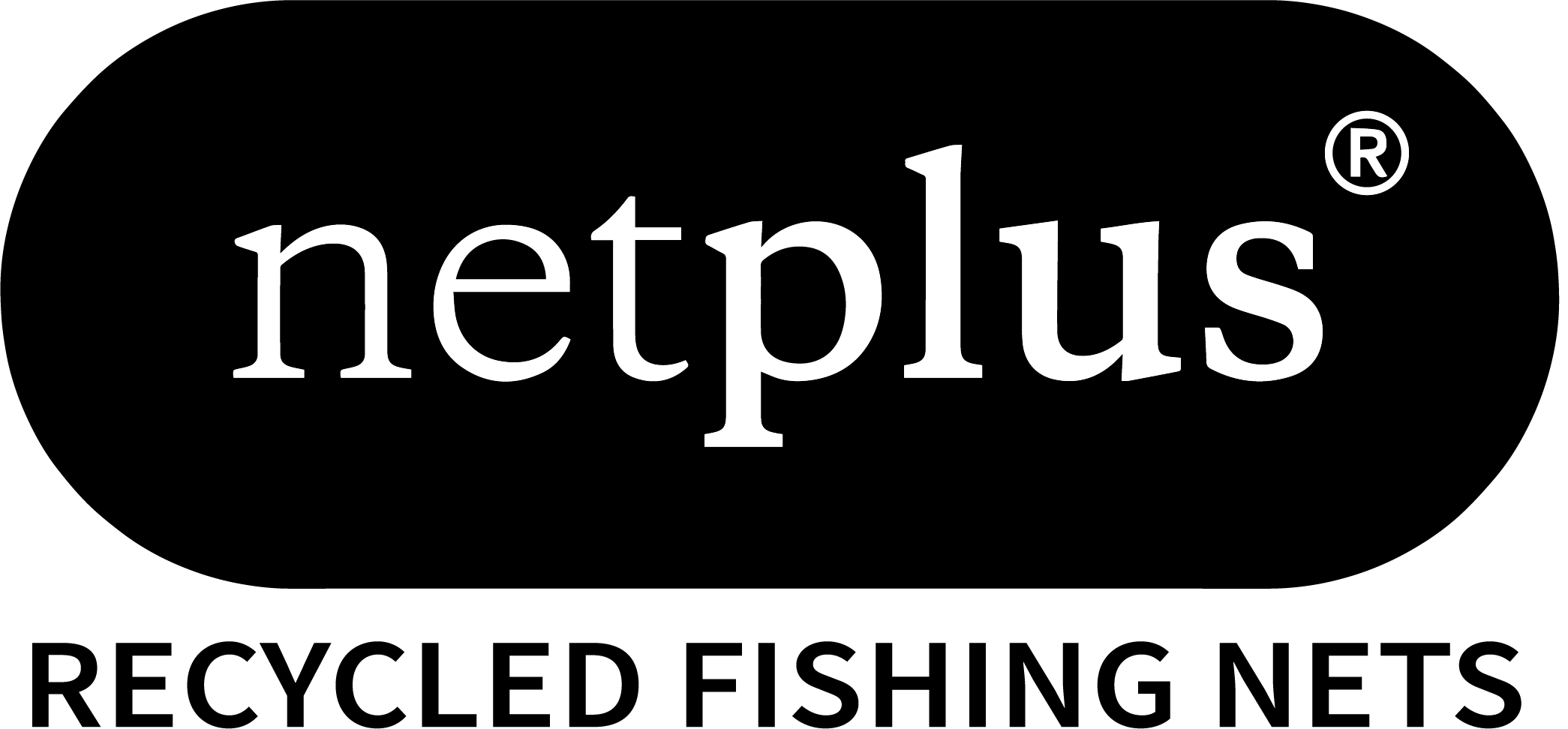 NetPlus-Logo.png